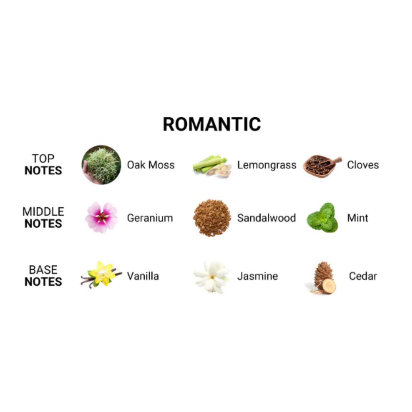 Romantic Cologne